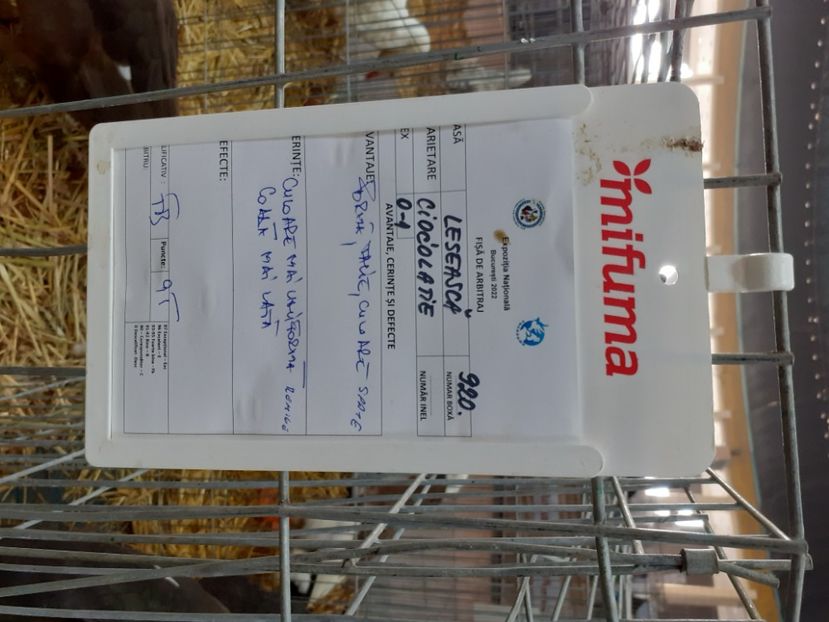  - Expo Nationala 2022