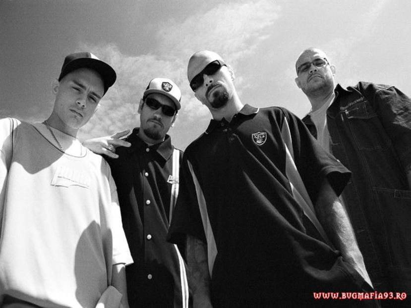 92998459_RJIPZPH3 - logodnic