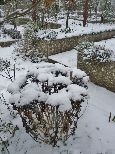  - 2022 - 04 - 2023 - 00 - Iarna