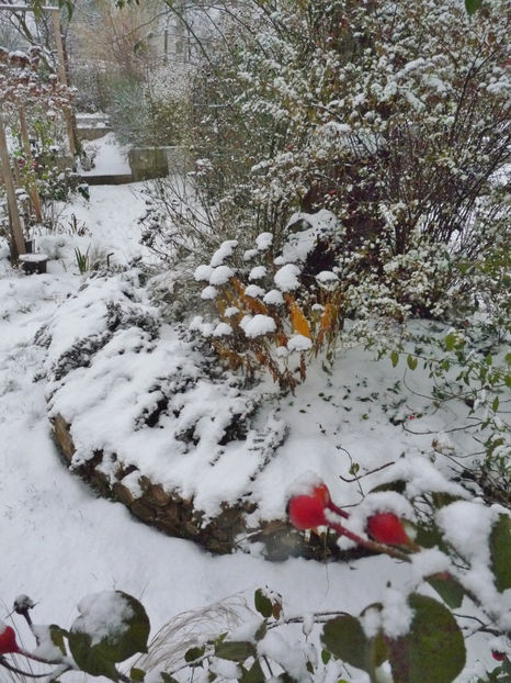  - 2022 - 04 - 2023 - 00 - Iarna