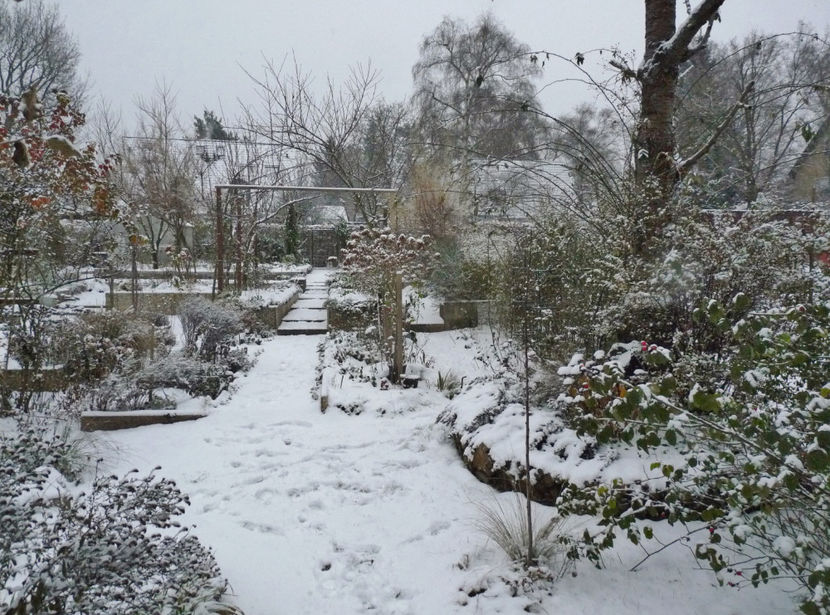  - 2022 - 04 - 2023 - 00 - Iarna