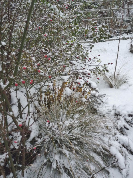  - 2022 - 04 - 2023 - 00 - Iarna