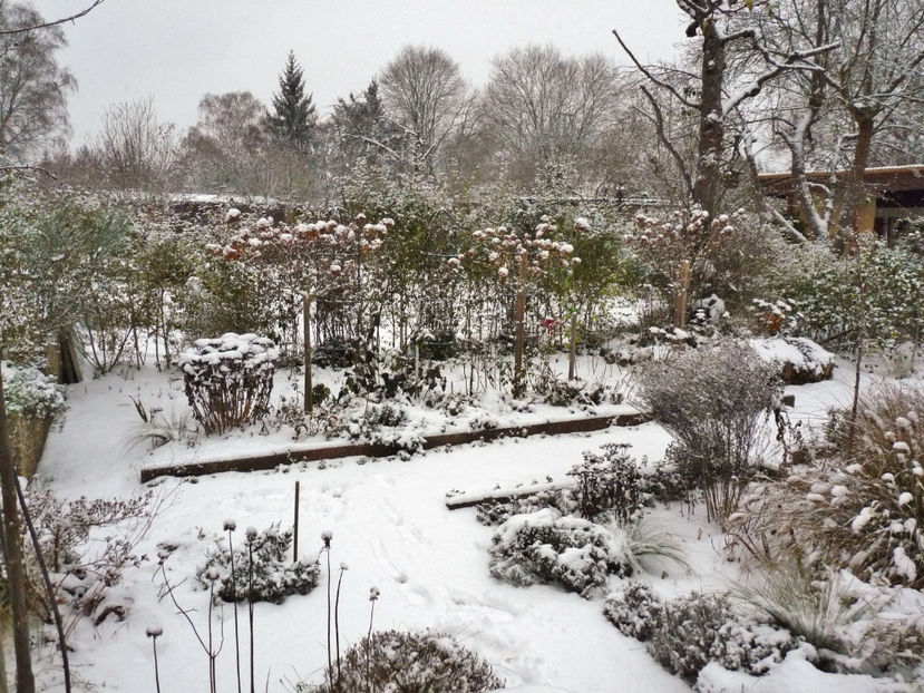  - 2022 - 04 - 2023 - 00 - Iarna