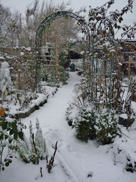  - 2022 - 04 - 2023 - 00 - Iarna