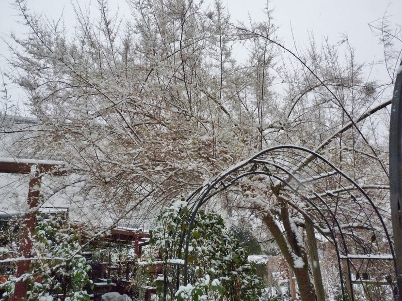  - 2022 - 04 - 2023 - 00 - Iarna