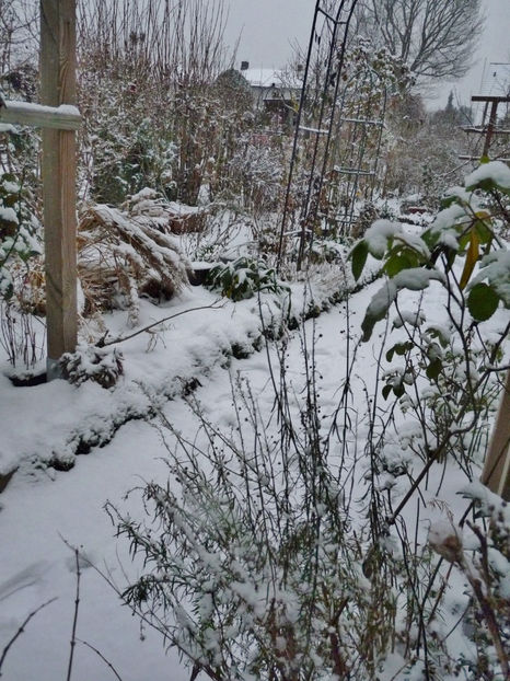  - 2022 - 04 - 2023 - 00 - Iarna