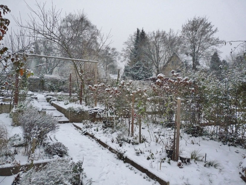  - 2022 - 04 - 2023 - 00 - Iarna