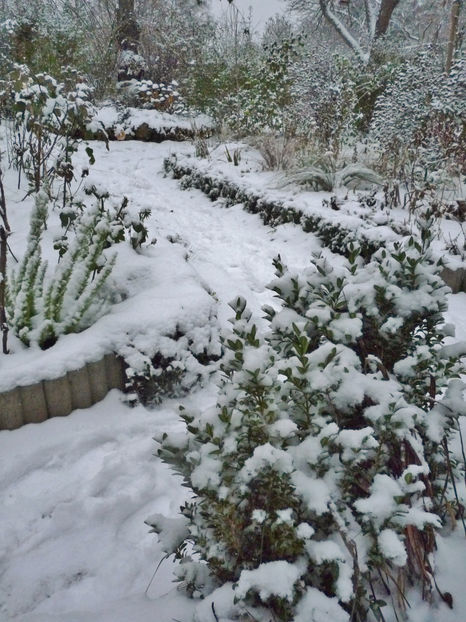  - 2022 - 04 - 2023 - 00 - Iarna