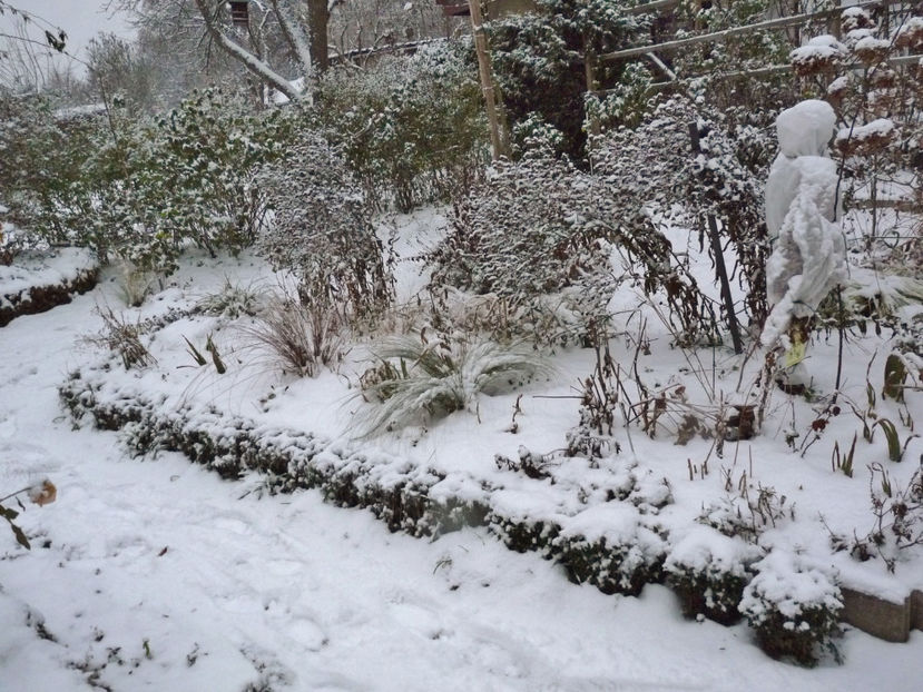  - 2022 - 04 - 2023 - 00 - Iarna