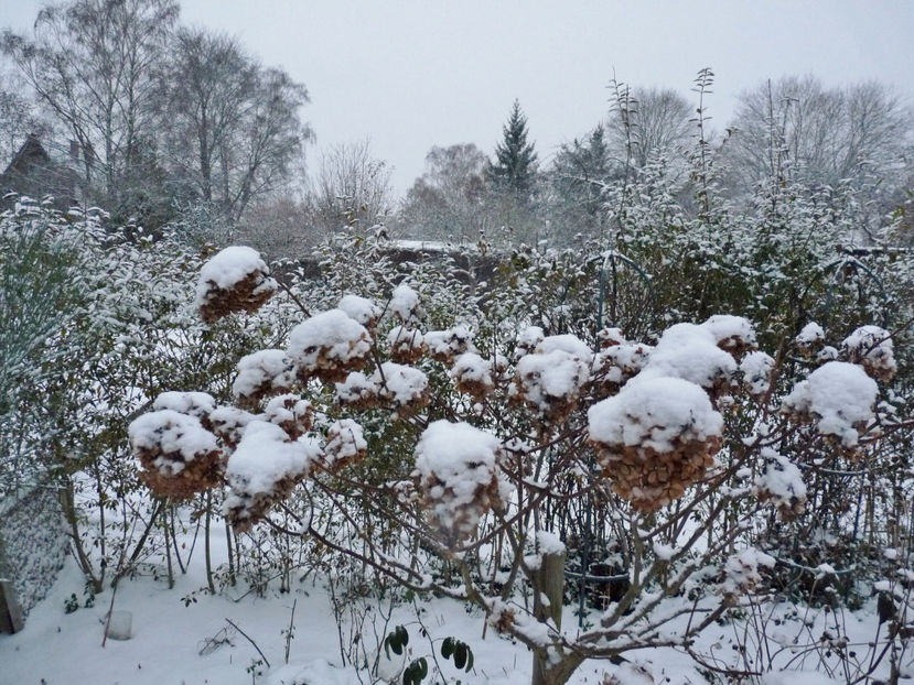  - 2022 - 04 - 2023 - 00 - Iarna