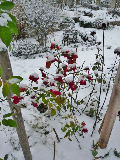  - 2022 - 04 - 2023 - 00 - Iarna