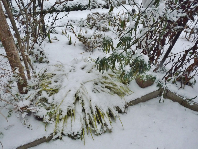  - 2022 - 04 - 2023 - 00 - Iarna