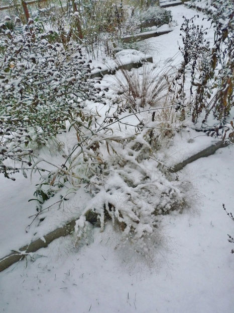  - 2022 - 04 - 2023 - 00 - Iarna