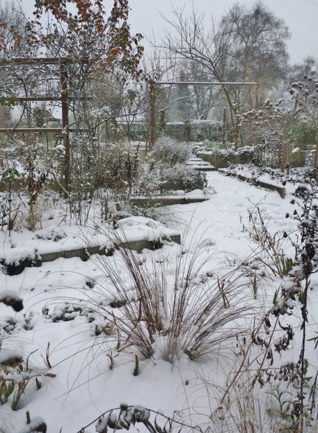  - 2022 - 04 - 2023 - 00 - Iarna