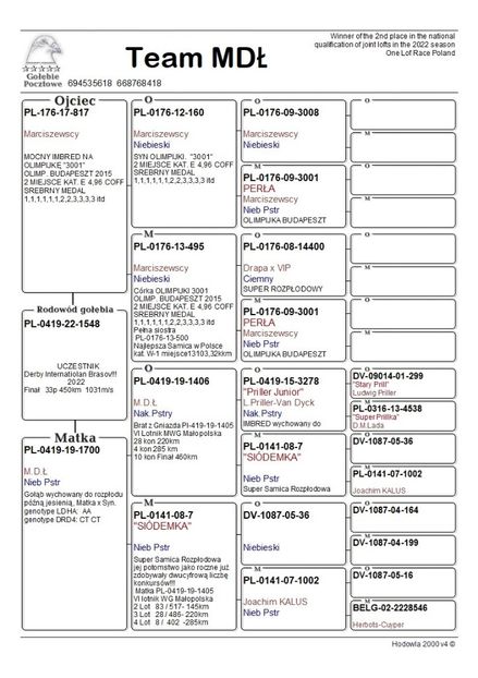 IMG-20221106-WA0004 - M POLONEZU