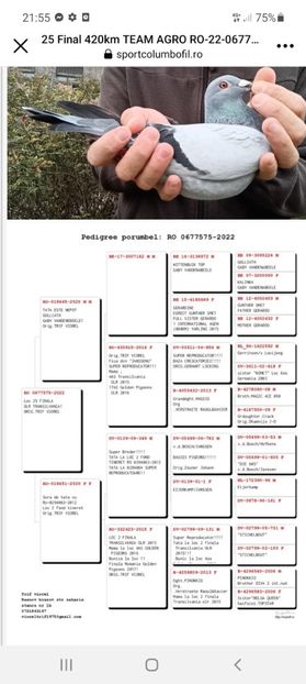 Screenshot_20221123-215536_Facebook - M Trif