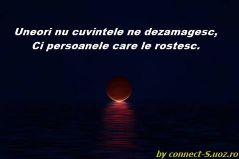 98870403_GTQFOWY3 - citate