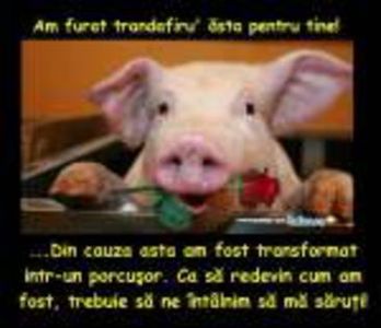 98459623_NIEUYTD - citate