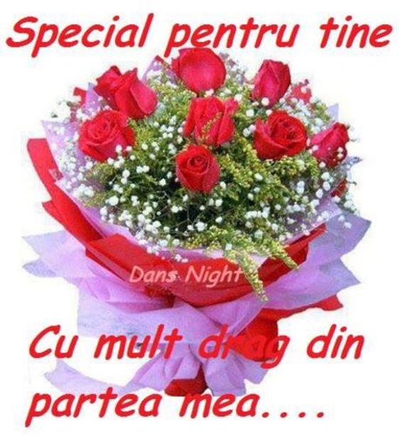 98853465_SROUSZL3 - citate