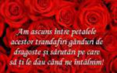 98689338_OBRHGDE - citate