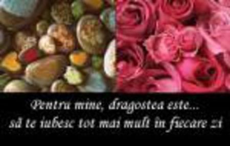 98689335_OTJVCKT3 - citate