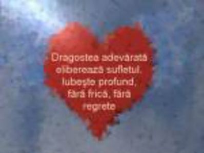 98689334_WEOWMSJ - citate