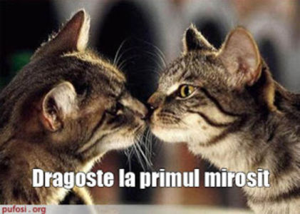 98864101_DOCPEET - citate
