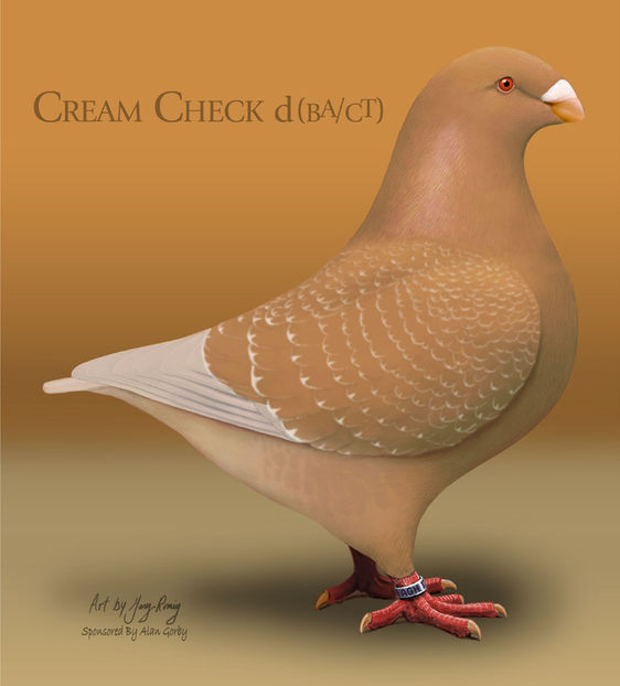 image-006 - S-CULORI AGH