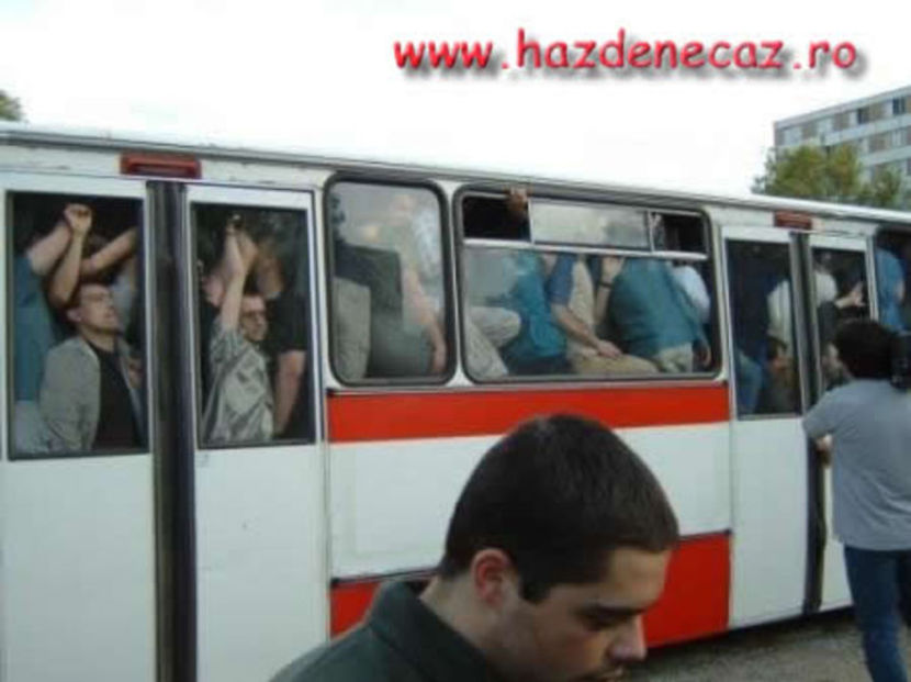 98853893_KRYDYCZ - citate