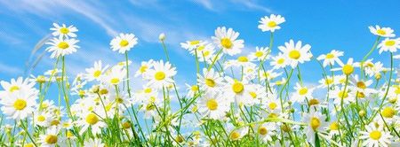 94883514_XARKCZQ - imaginar