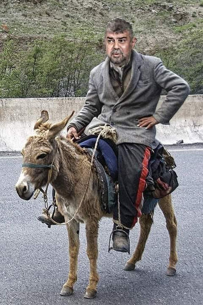  - Poze haioase pamflet