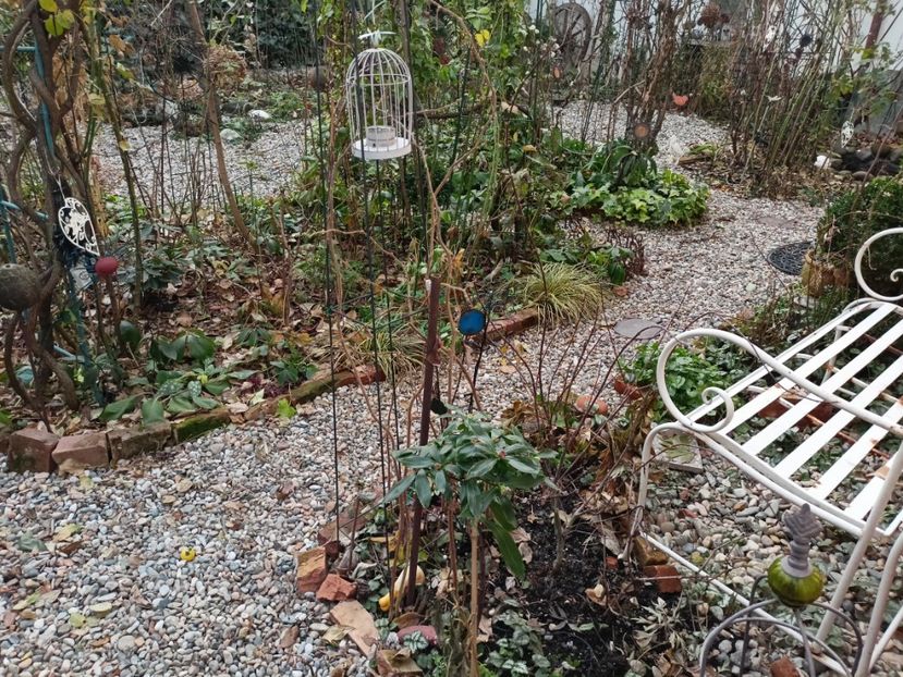  - Grădina 2022 continuare 5