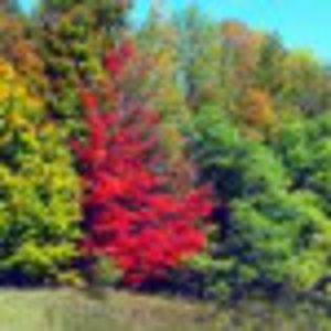 98700430_ADGUDYM3 - imaginar