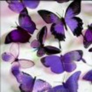 100097693_ULKOFQS3 - imaginar