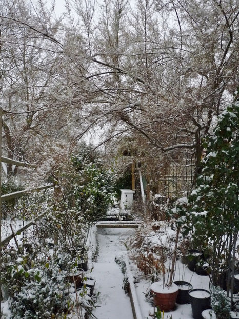  - 2022 - 04 - 2023 - 00 - Iarna