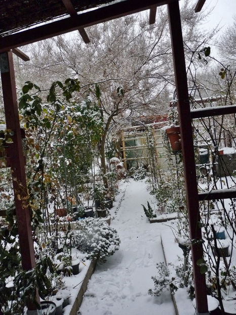  - 2022 - 04 - 2023 - 00 - Iarna