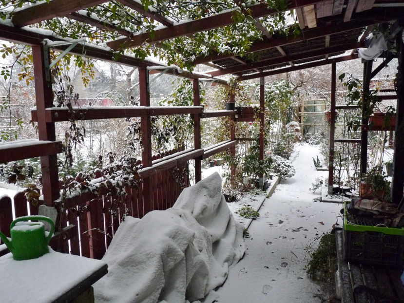  - 2022 - 04 - 2023 - 00 - Iarna