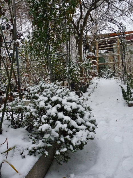  - 2022 - 04 - 2023 - 00 - Iarna