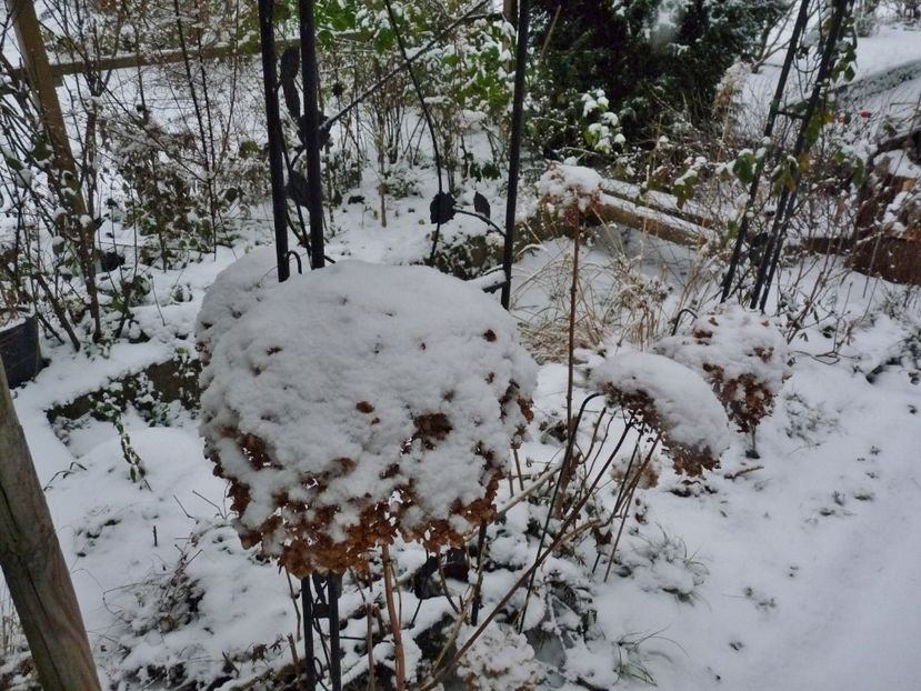  - 2022 - 04 - 2023 - 00 - Iarna