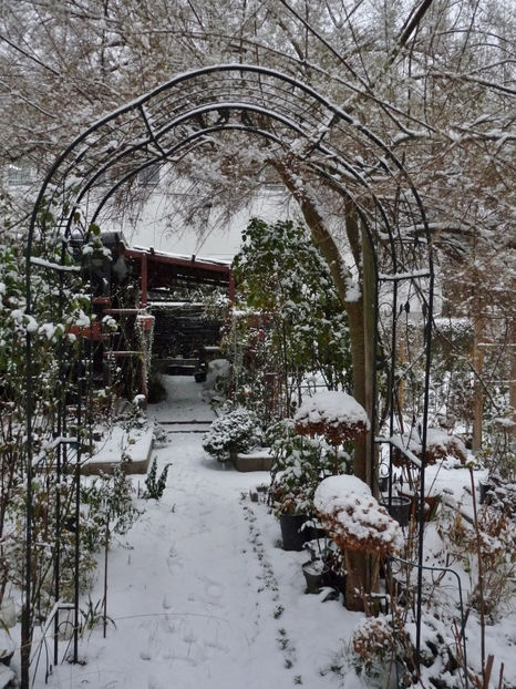  - 2022 - 04 - 2023 - 00 - Iarna