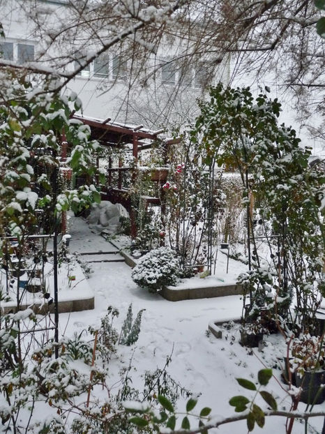  - 2022 - 04 - 2023 - 00 - Iarna