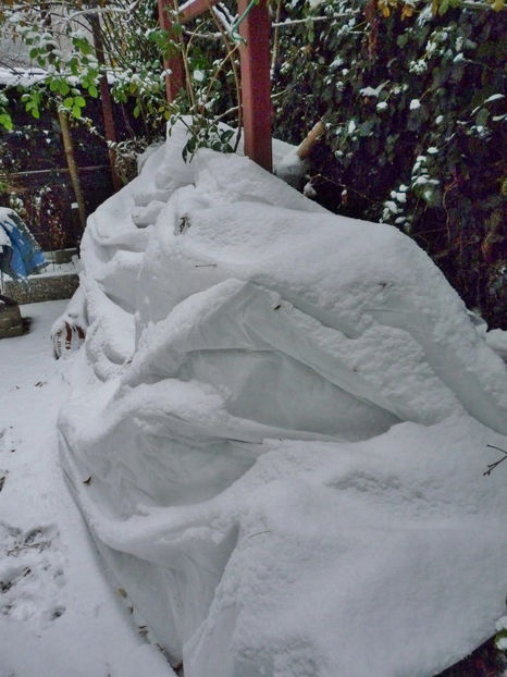  - 2022 - 04 - 2023 - 00 - Iarna