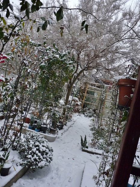  - 2022 - 04 - 2023 - 00 - Iarna