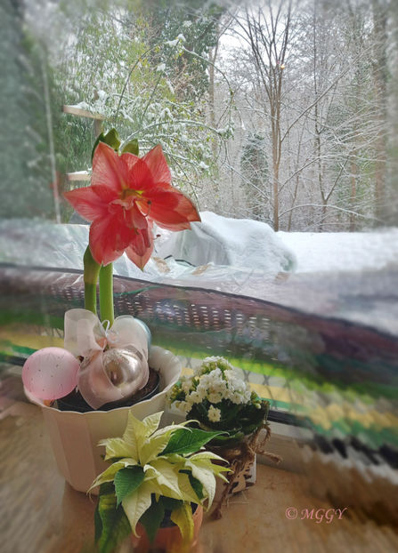 © - 2022 - 04 - 2023 - 00 - Iarna