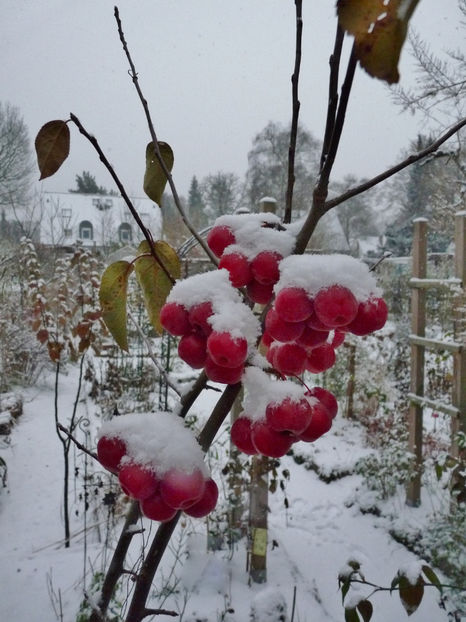  - 2022 - 04 - 2023 - 00 - Iarna