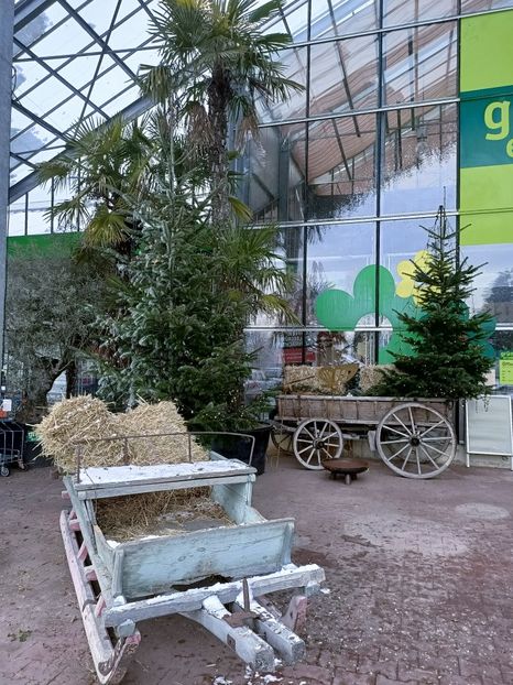 Img.2022.12.19 - Magazinul 2
