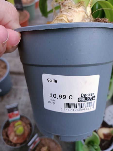 IMG20221219094120 - Magazinul 2