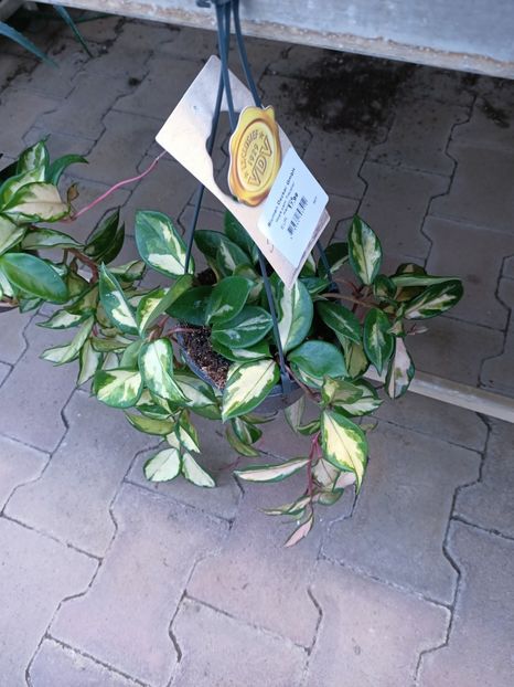 Img.2022.12.19 - Magazinul 2