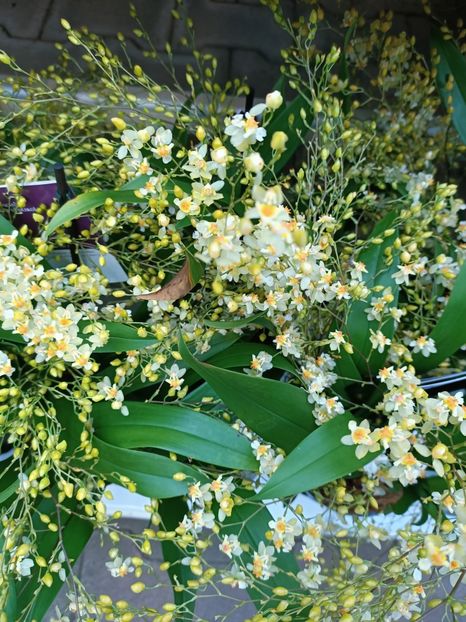 Img.2022.12.19 - Magazinul 2