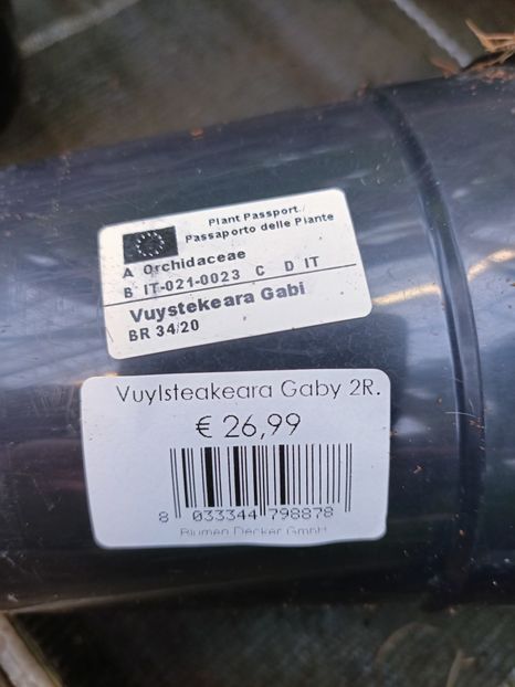 IMG20221219095314 - Magazinul 2